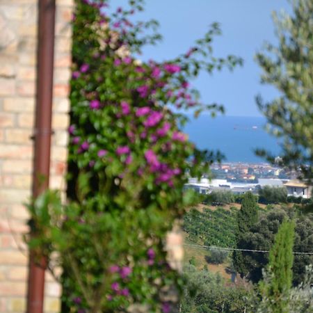 Agriturismo Il Sapore Della Luna Monteprandone Luaran gambar