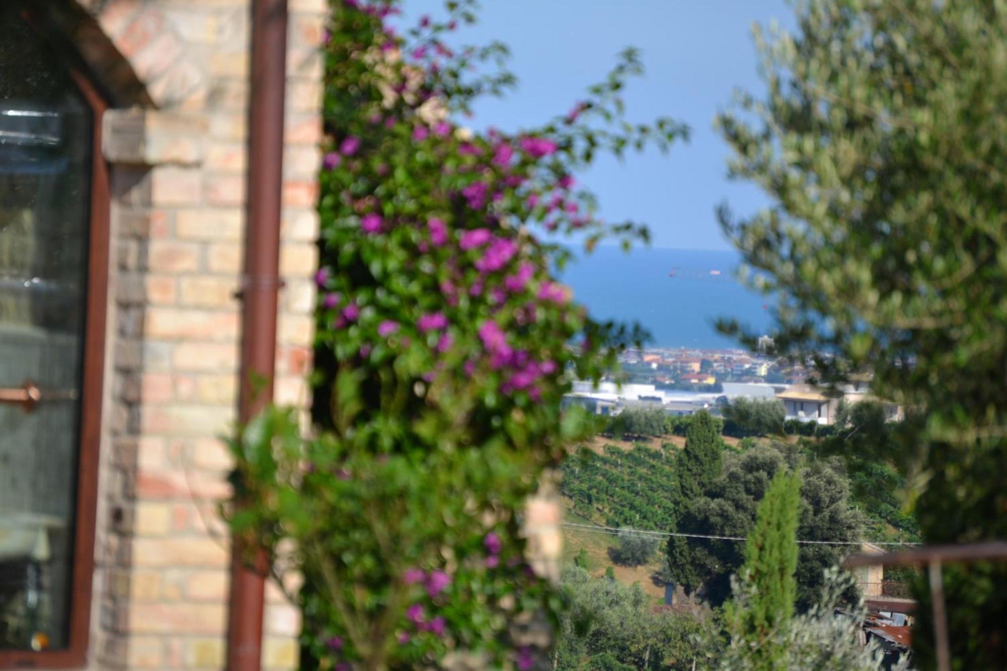 Agriturismo Il Sapore Della Luna Monteprandone Luaran gambar