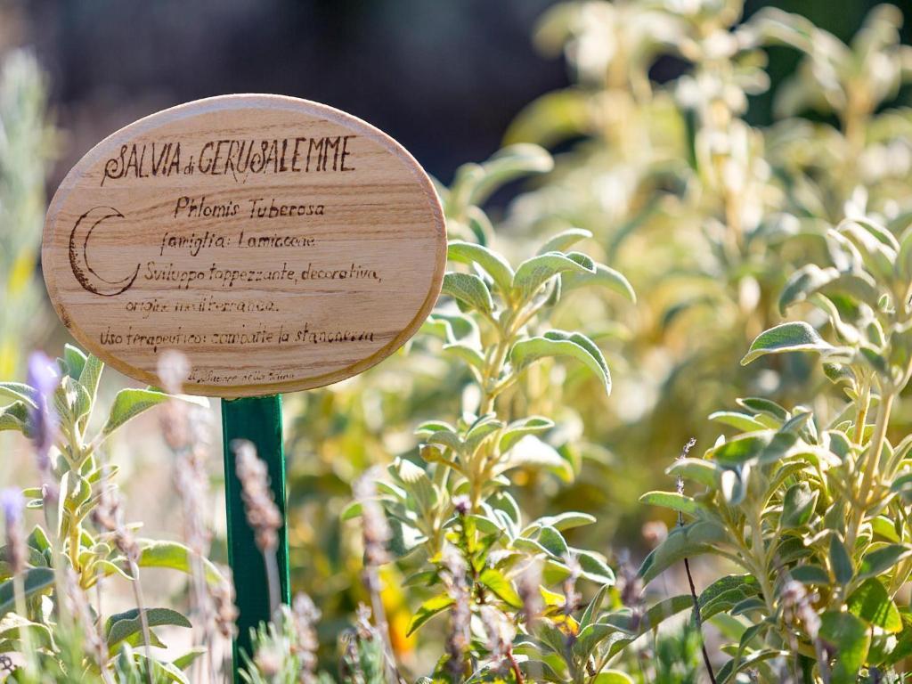 Agriturismo Il Sapore Della Luna Monteprandone Luaran gambar