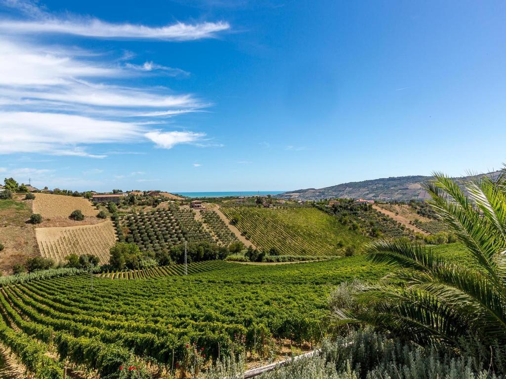 Agriturismo Il Sapore Della Luna Monteprandone Luaran gambar